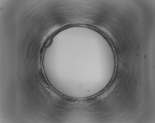 X0000061720974200512231404