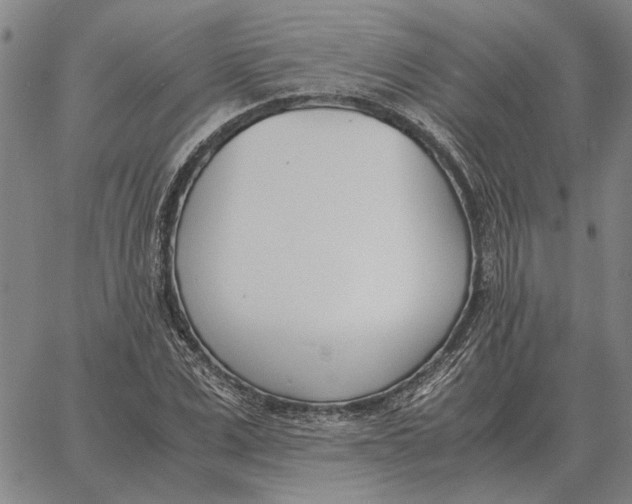 X0000061720975200512231404