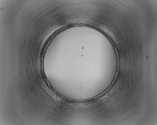 X0000061720976200512231404