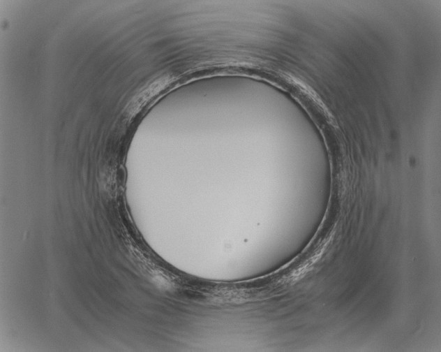 X0000061720977200512231404