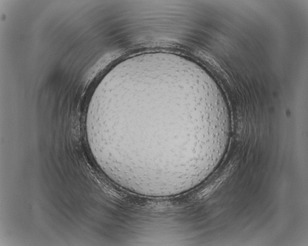 X0000061720978200512231404