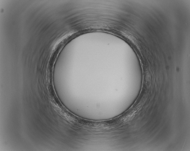 X0000061720979200512231404