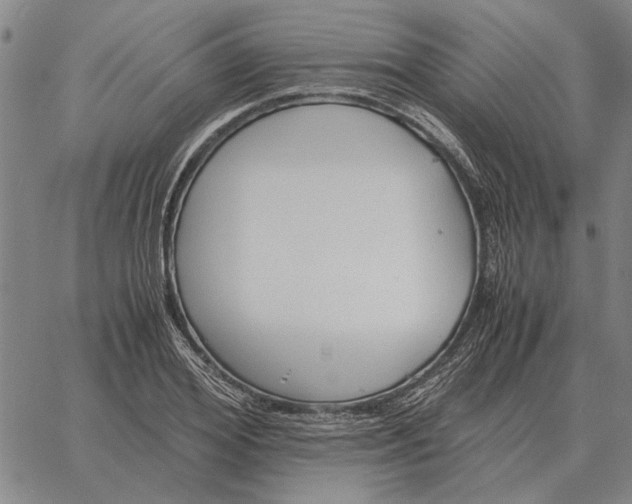 X0000061720980200512231404