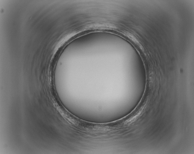 X0000061720981200512231404