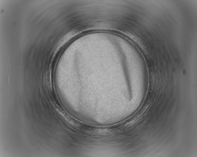 X0000061720982200512231404