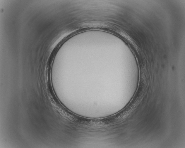 X0000061720983200512231404