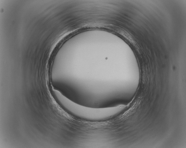 X0000061720984200512231404