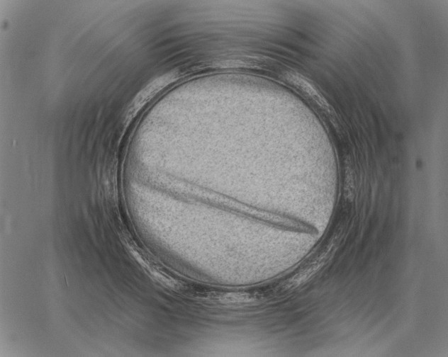 X0000061720986200512231404