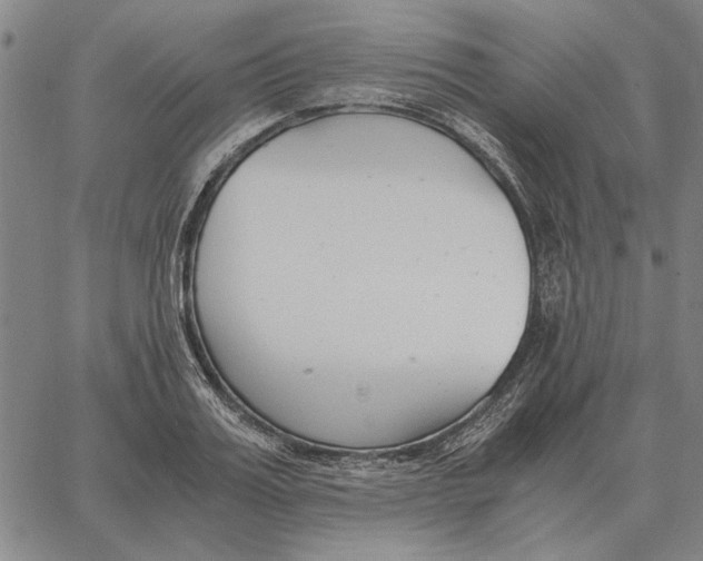 X0000061720987200512231404