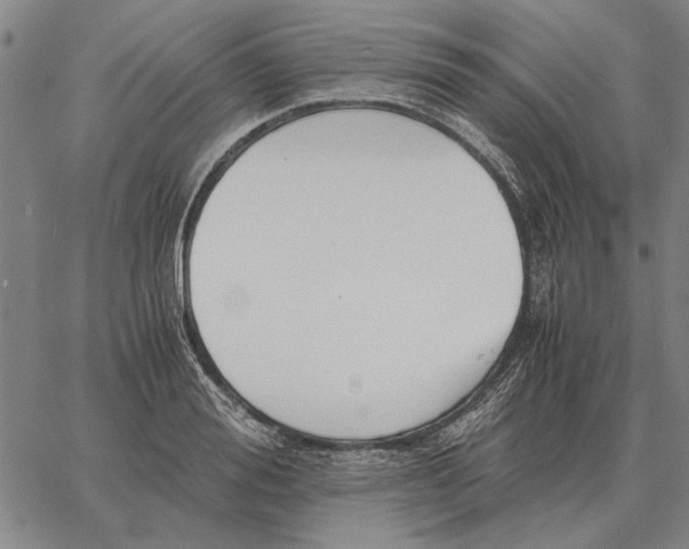 X0000061720988200512231404