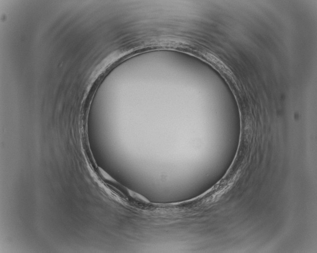 X0000061720989200512231404