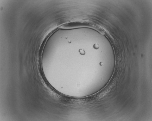 X0000061720991200512231404