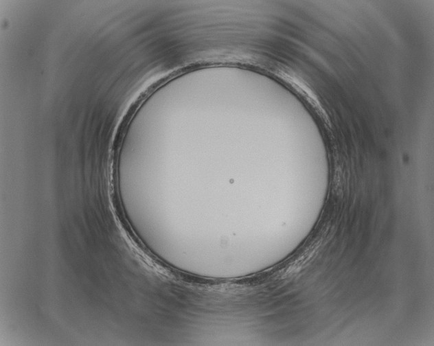 X0000061720992200512231404