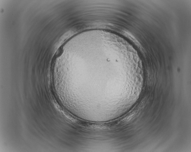 X0000061720994200512231404