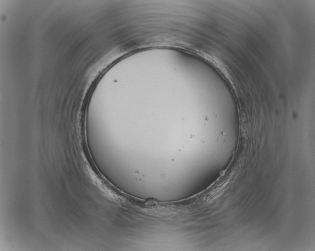 X0000061720995200512231404