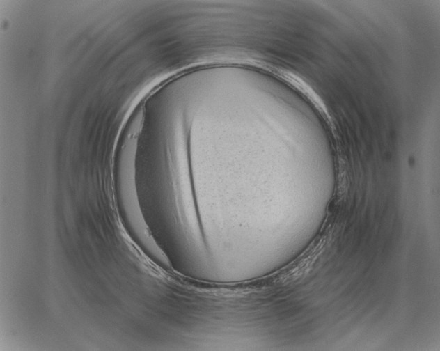 X0000061720996200512231404