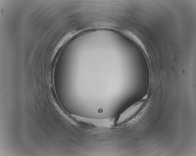 X0000061720997200512231404