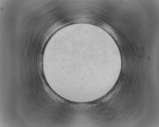 X0000061721000200512231404