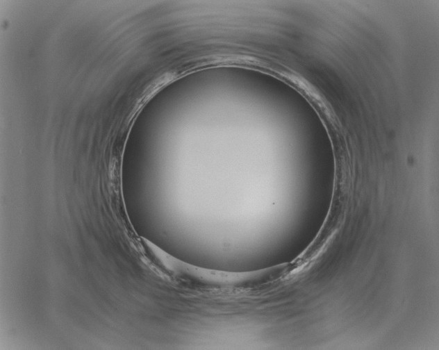 X0000061721001200512231404