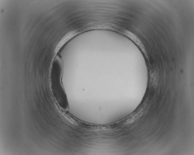 X0000061721002200512231404