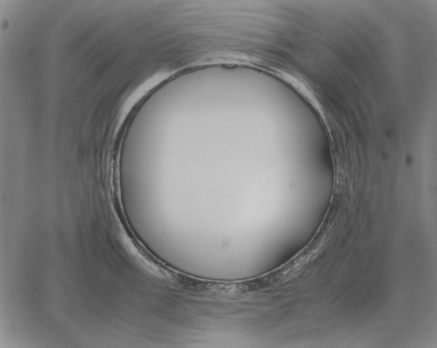 X0000061721003200512231404