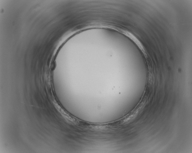 X0000061721004200512231404