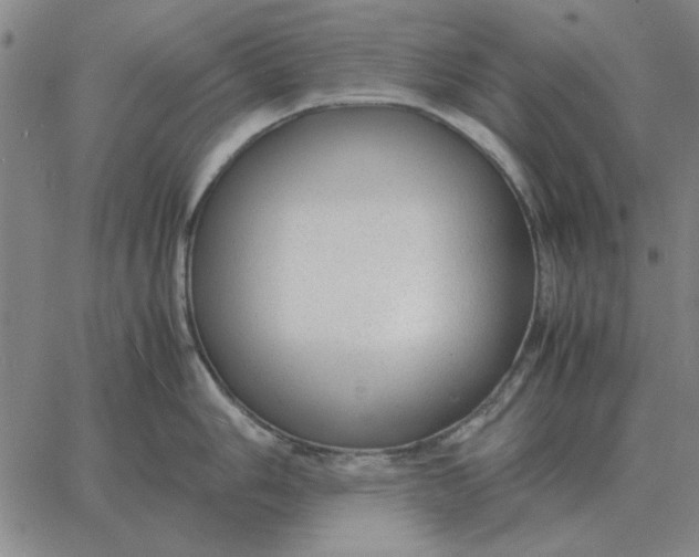 X0000061721006200512231404