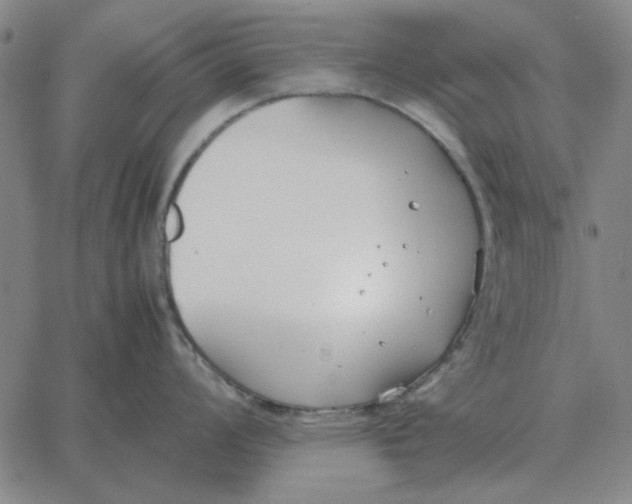 X0000061721008200512231403