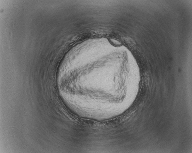 X0000061721009200512231403