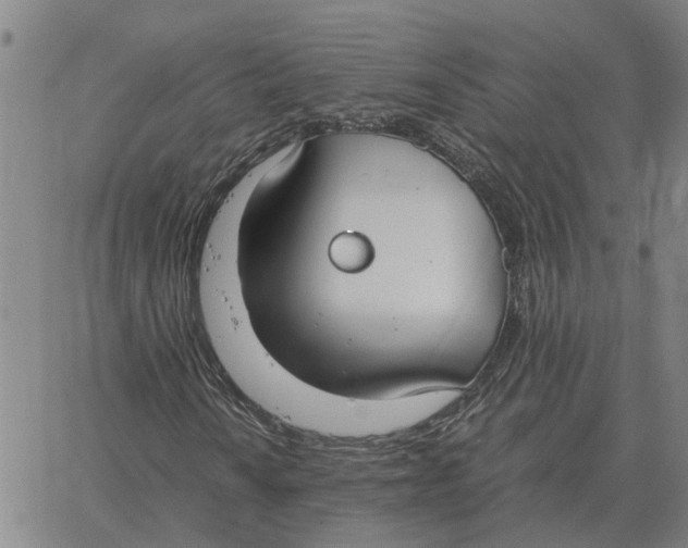 X0000061721010200512231403