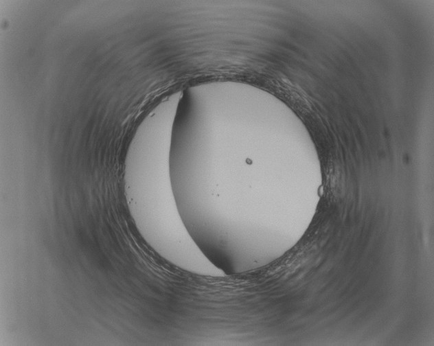 X0000061721012200512231403