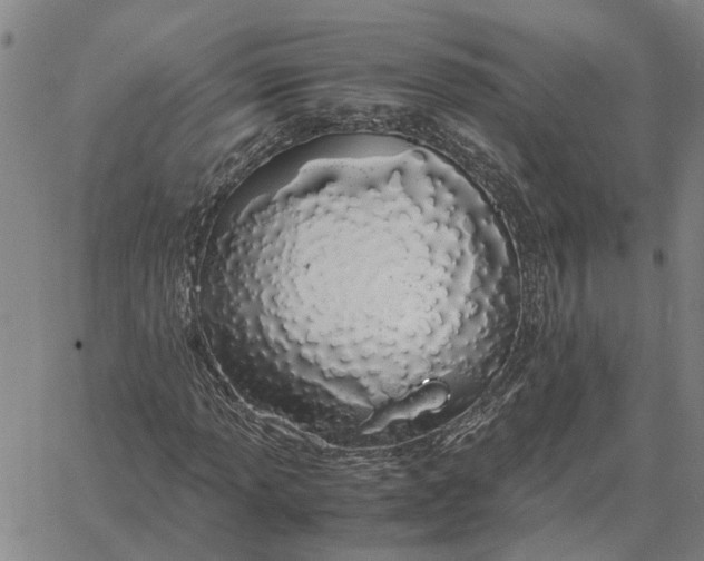 X0000061721013200512231403