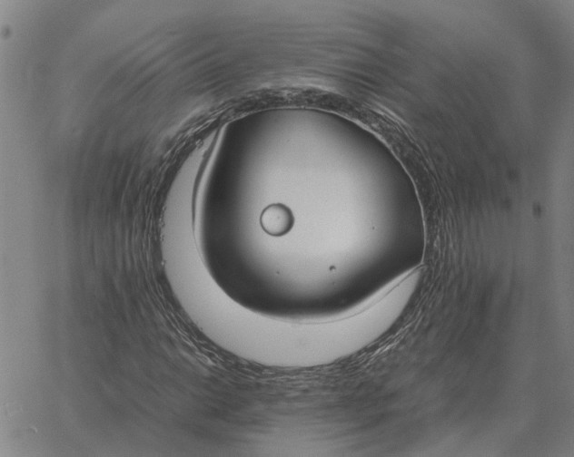 X0000061721014200512231403