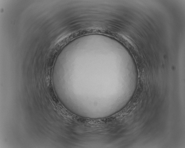 X0000061721015200512231403