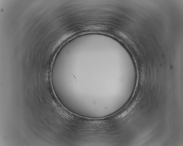 X0000061721017200512231403