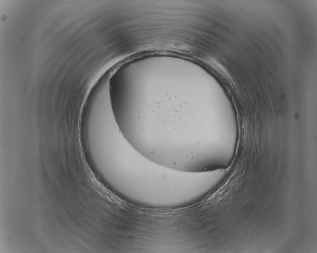 X0000061721020200512231403