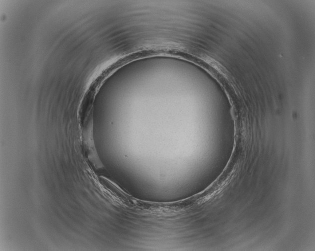 X0000061721022200512231403