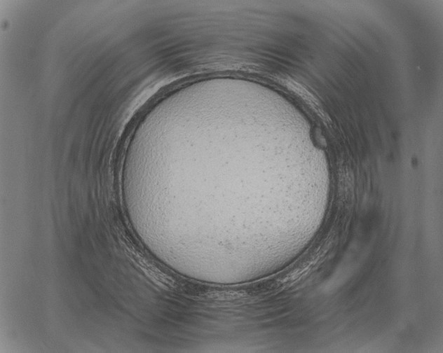 X0000061721023200512231403