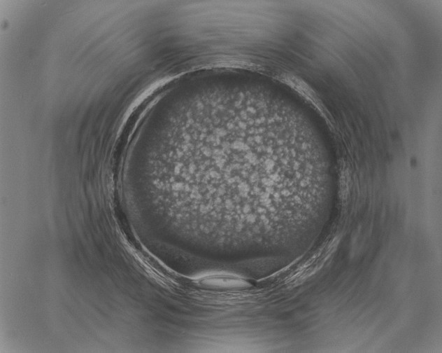 X0000061721024200512231403