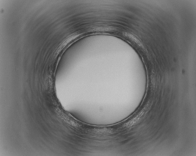 X0000061721025200512231403