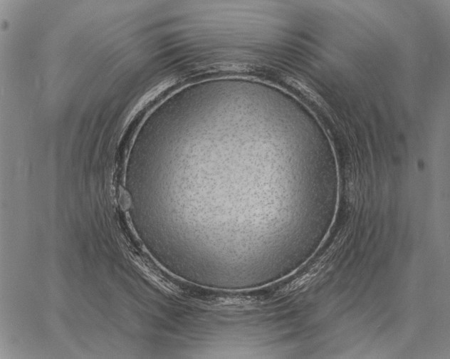 X0000061721026200512231403