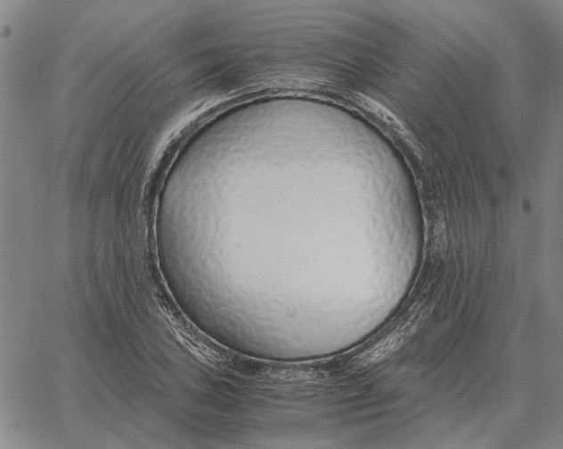 X0000061721027200512231403