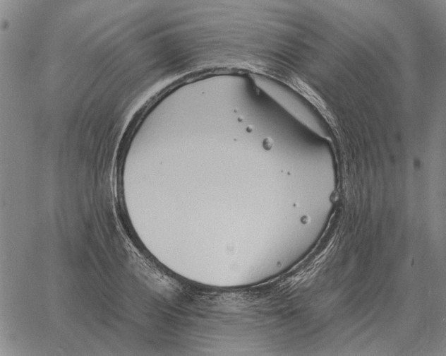 X0000061721028200512231403