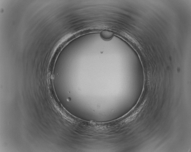 X0000061721029200512231403