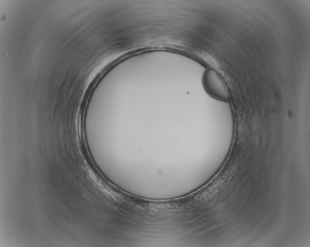 X0000061721032200512231403