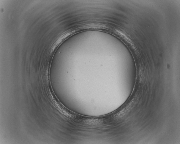 X0000061721033200512231403