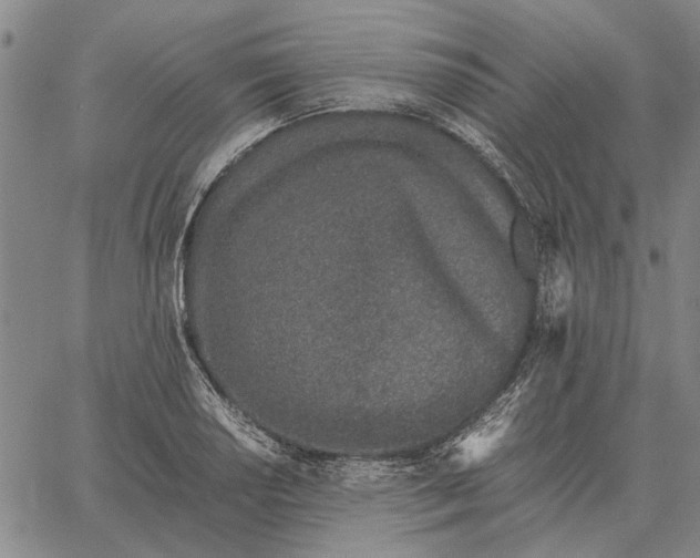 X0000061721034200512231403