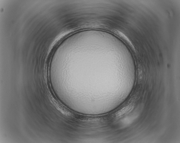 X0000061721035200512231403