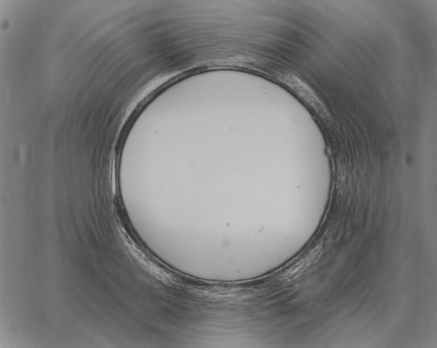 X0000061721036200512231403