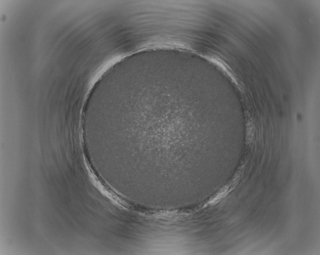 X0000061721038200512231403